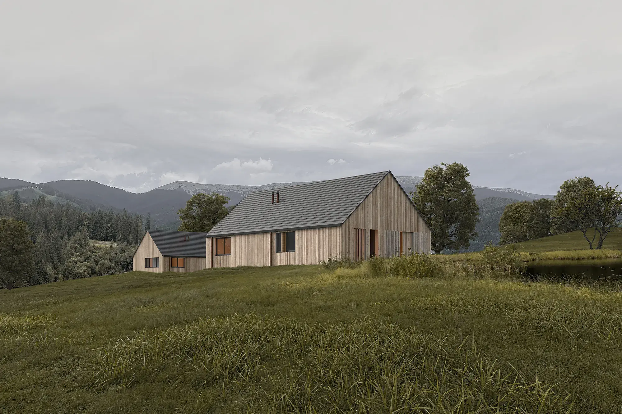 House in the Carpathian Mountains 3D render